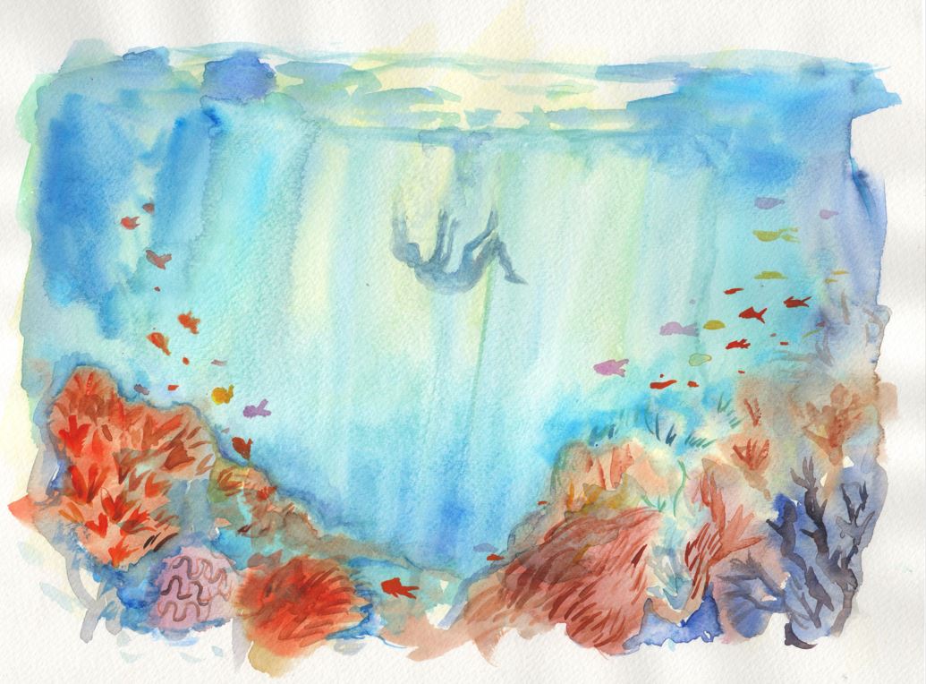 Immersed Between Reefs and Abyss