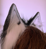 Kuro Shiro Furry Ears