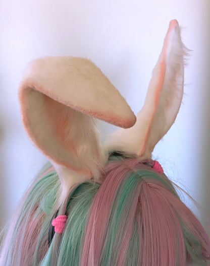 White Bunny Ears
