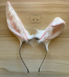 White Bunny Ears